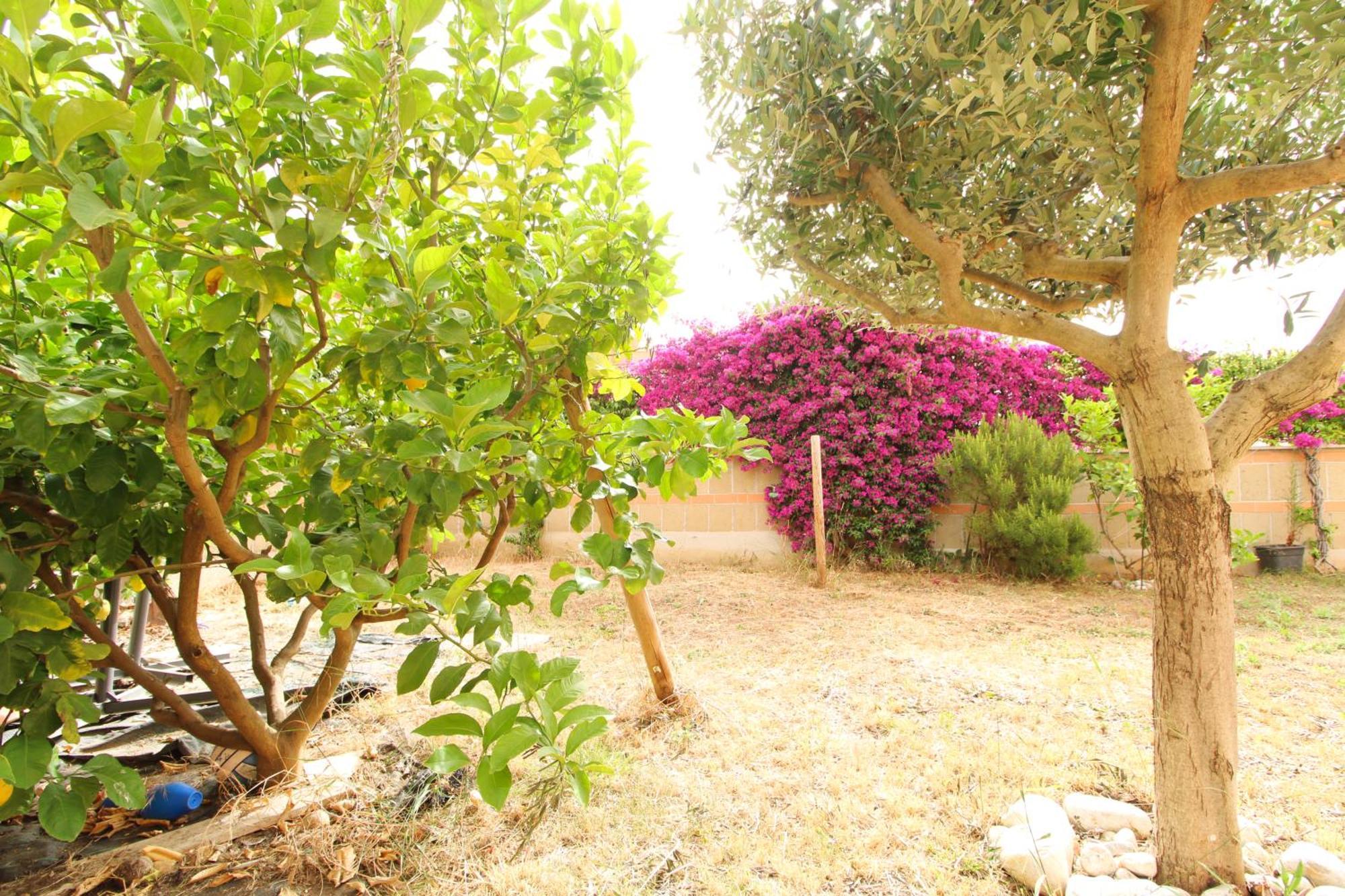 Apartment Garden Rome